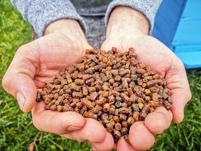 Bičių duonelės nauda, savybės ir vartojimas 1 Bičių duona